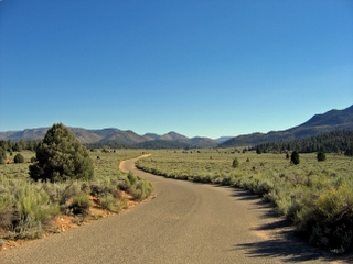 Road through sagebrush in Kennedy Meadows, California