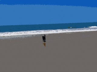 Dog at Padaro Beach - Santa Barbara - Photoshop Abstract
