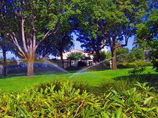 Lawn Sprinklers - Santa Barbara - Photoshop Abstract