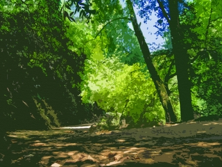 Refugio Road - Near Solvang California - Photoshop Abstract