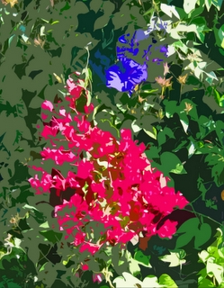 Spring Bloom - Santa Barbara - Photoshop Abstract