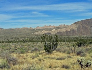 Joshua Tree National Park