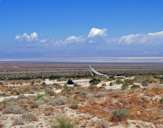 The Road to Amboy North of Twenty-Nine Palms