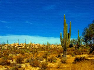 Central Desert - Baja Norte - Photoshop Abstract