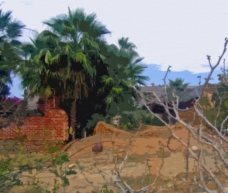 Sugar Plantation Ruins - Photoshop Abstract 