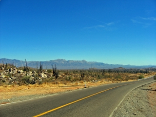 The Central Desert - Baja California Norte 
