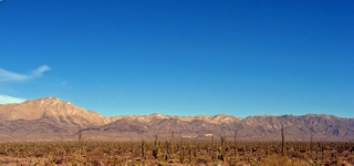 The Central Desert - Baja California Norte 