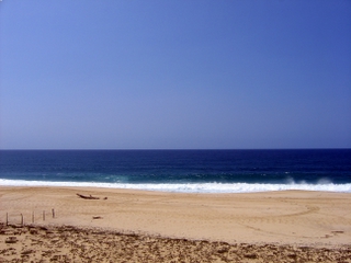 Open Ocean - Todos Santos, Baja Sur 