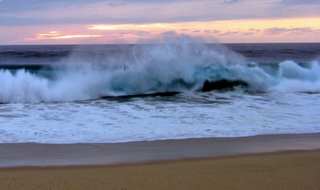 Surf’s Up - Todos Santos Baja Sur