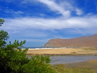 The Beach at Las Palmas (1) Todos Santos, Baja Sur 