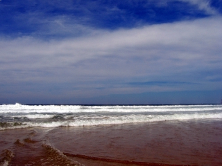 The Beach at Las Palmas (6) Todos Santos, Baja Sur