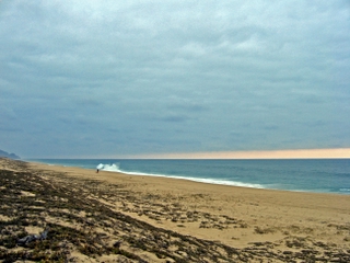 The Beach at Las Tunas (1) Todos Santos, Baja Sur