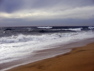 The Beach at Las Tunas Todos Santos, Baja California Sur 