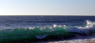 whales The Beach at Las Tunas Todos Santos, Baja California Sur 